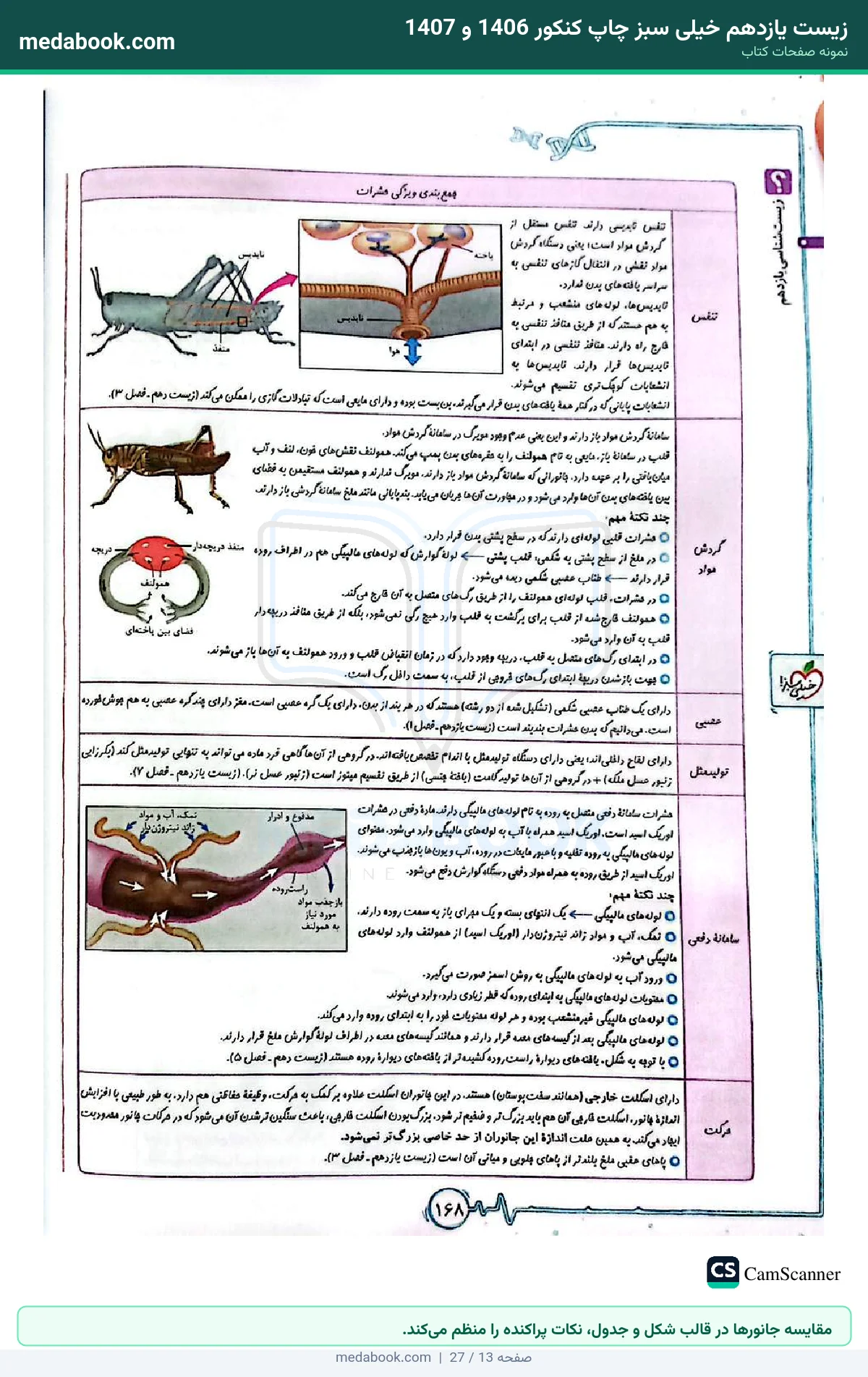 نمونه صفحات زیست یازدهم خیلی سبز چاپ کنکور 1406 و 1407 - مقایسه جانورها در قالب شکل و جدول، نکات پراکنده را منظم میکند.