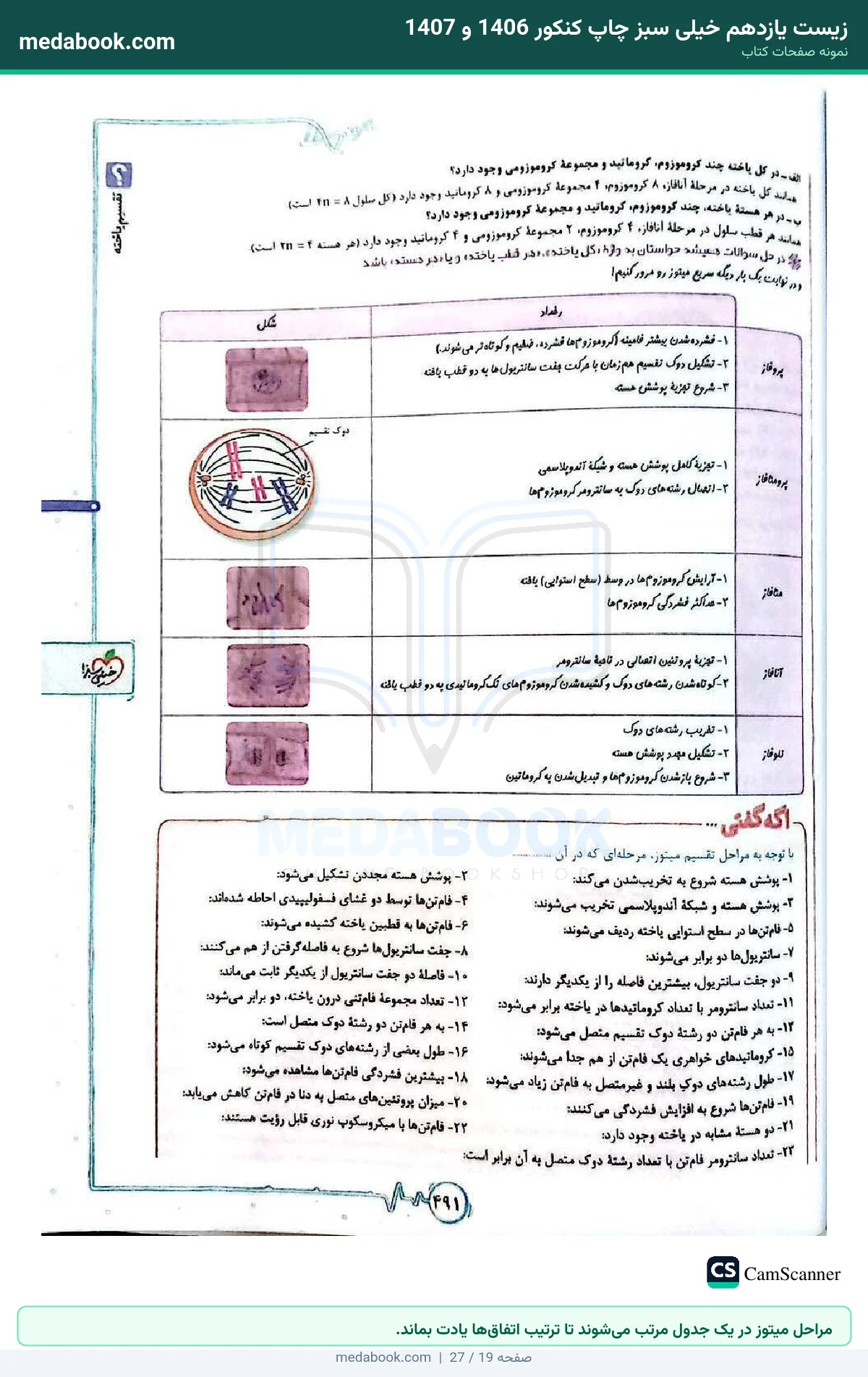 نمونه صفحات زیست یازدهم خیلی سبز چاپ کنکور 1406 و 1407 - مراحل میتوز در یک جدول مرتب میشوند تا ترتیب اتفاقها یادت بماند.