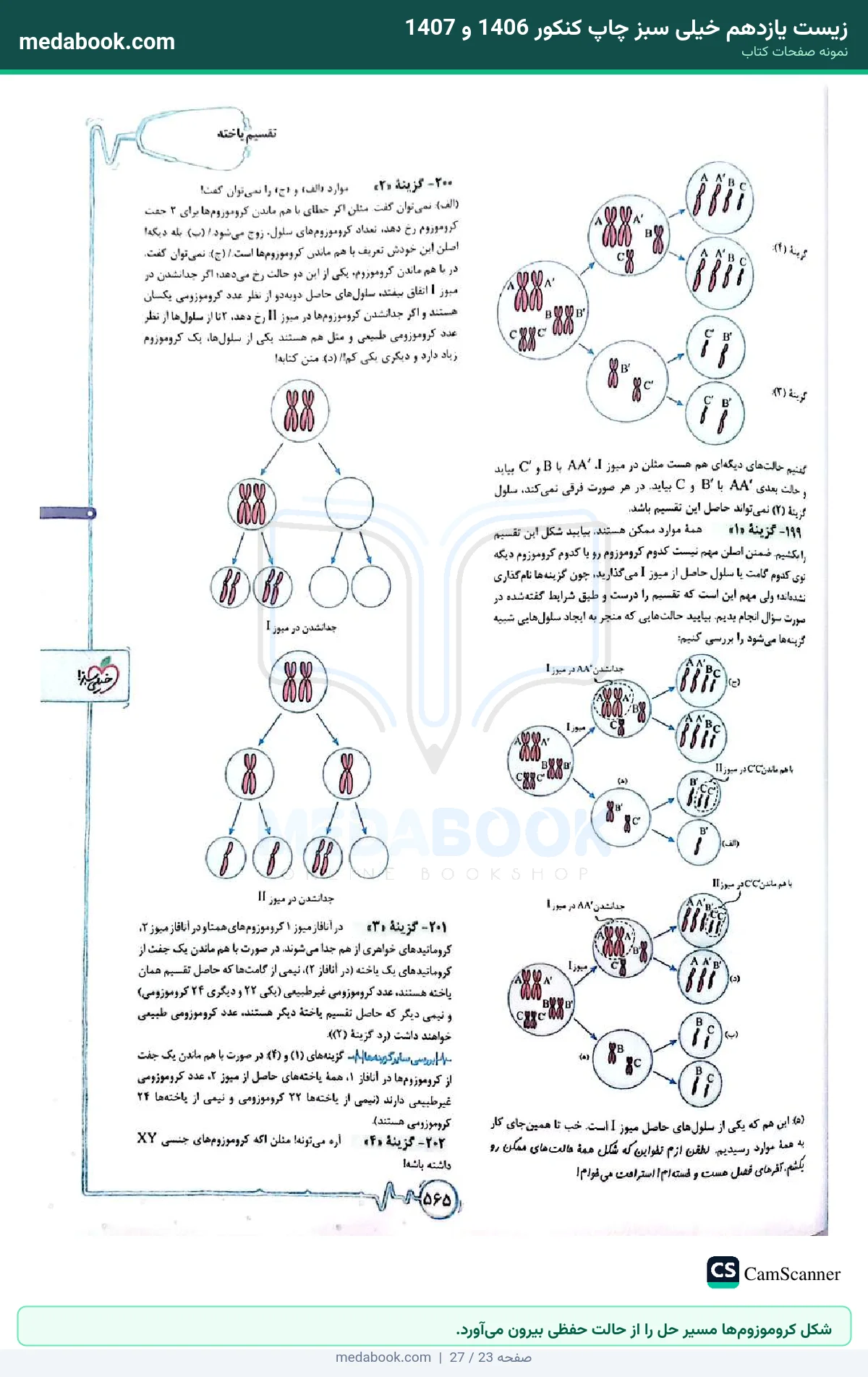 نمونه صفحات زیست یازدهم خیلی سبز چاپ کنکور 1406 و 1407 - شکل کروموزومها مسیر حل را از حالت حفظی بیرون میآورد.