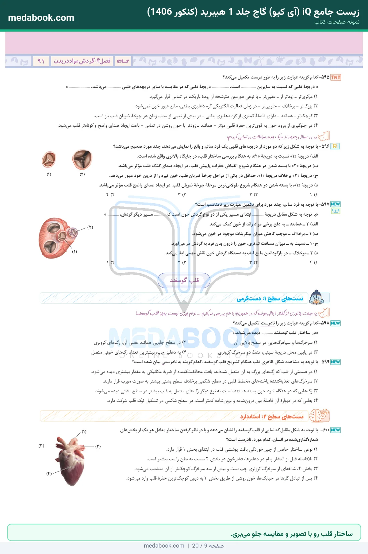 نمونه صفحات زیست جامع iQ (آی کیو) گاج جلد 1 هیبرید (کنکور 1406) - ساختار قلب رو با تصویر و مقایسه جلو میبری.